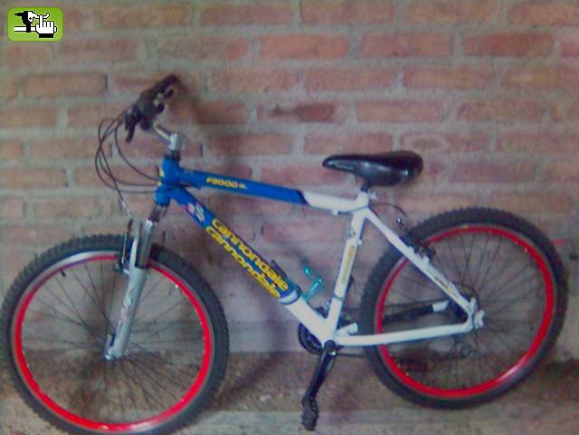 Mi compañera!!
