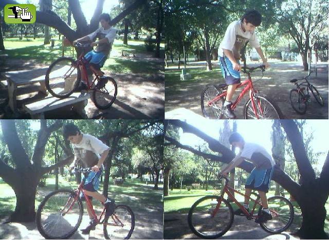 Desues de tres meses de trial...