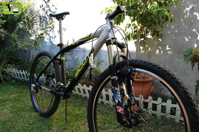 scott scale 60 2006