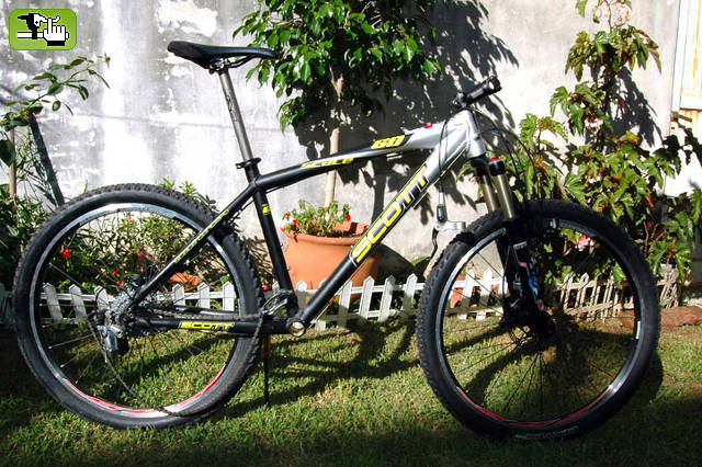 scott scale 60 2006