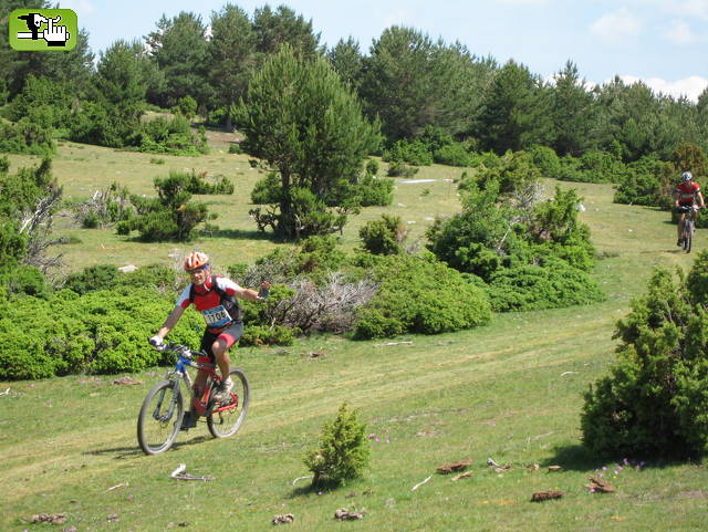 IX RUTA COMARCA PINARES