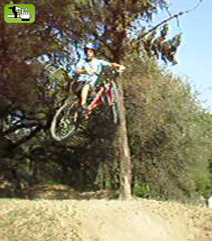 saltin