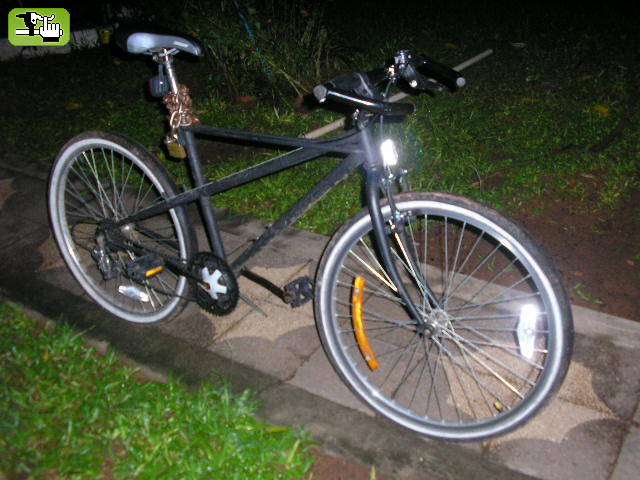 BIANCHI THOMISUS