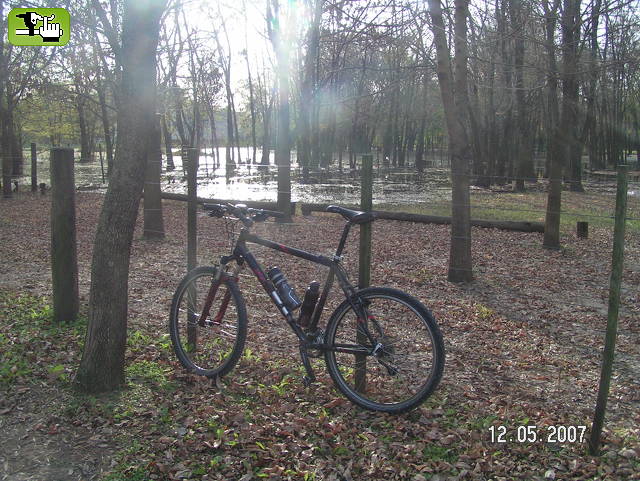 ......agua en el bosque