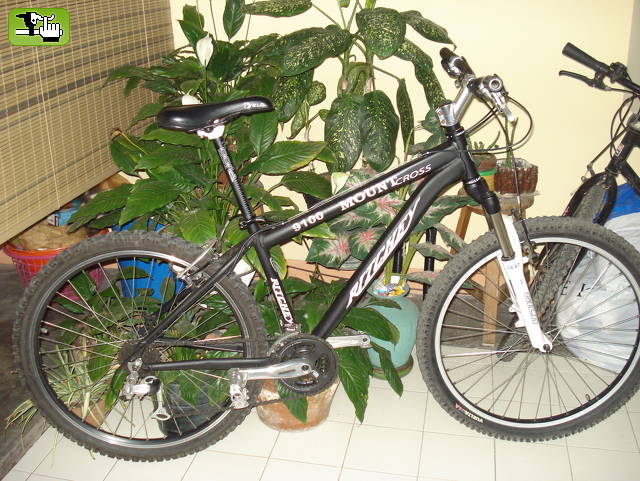 Mi bici