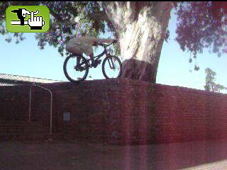 subida de gato!!...1,50