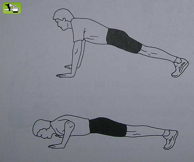 flexiones o push up - pectorales y triceps