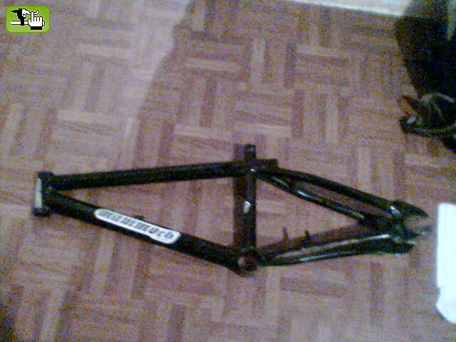 mi ex mammth