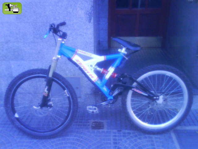 Dafne,mi nueva burra