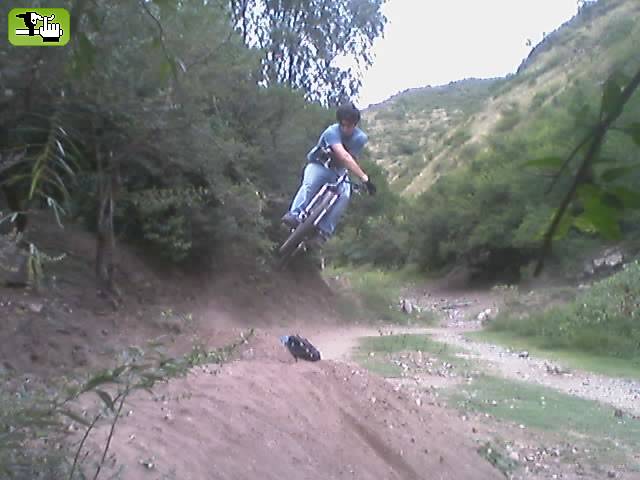 gordo mati