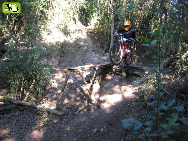 cortada