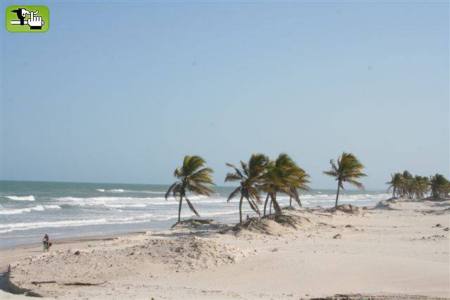 Costa dos Coqueiros