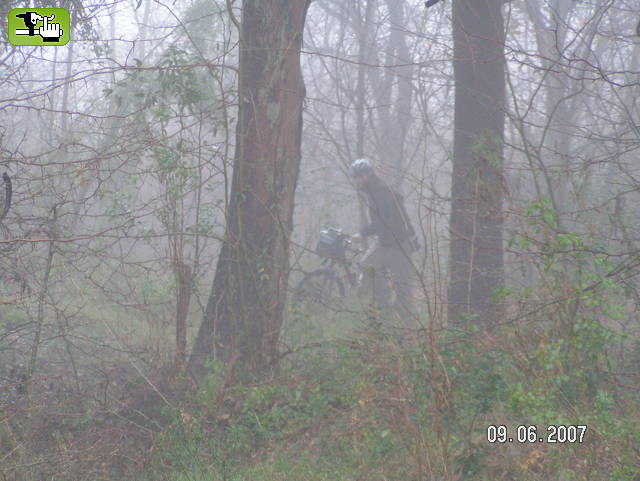 Little John in the fog