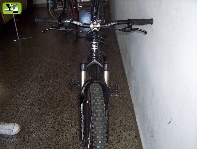 martin4