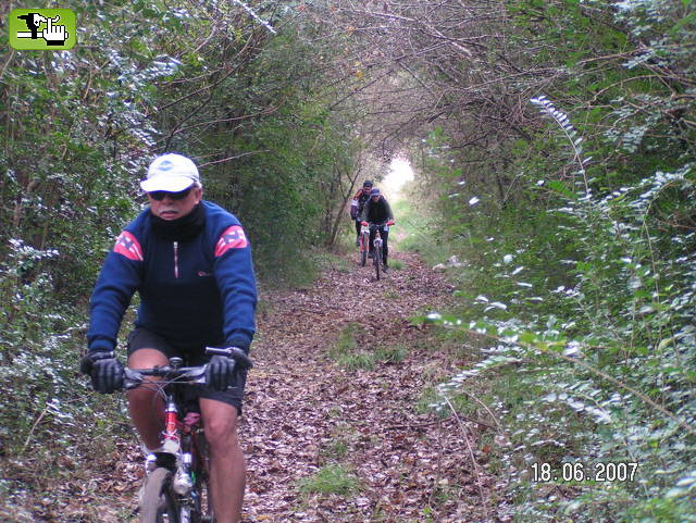 PILAR-PAVON-CARDALES