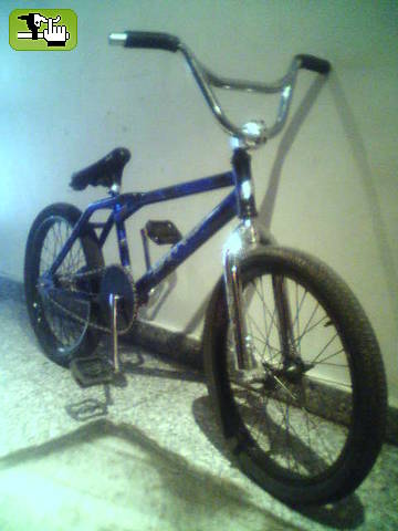 my dyno