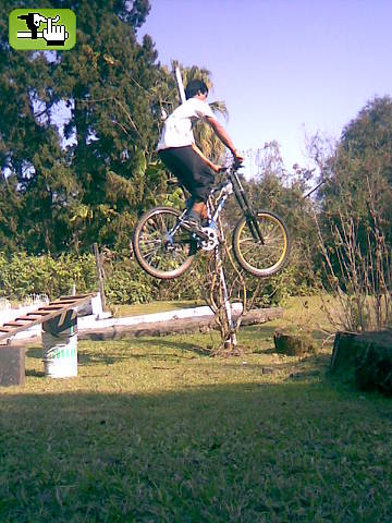 EN EL JARDIN