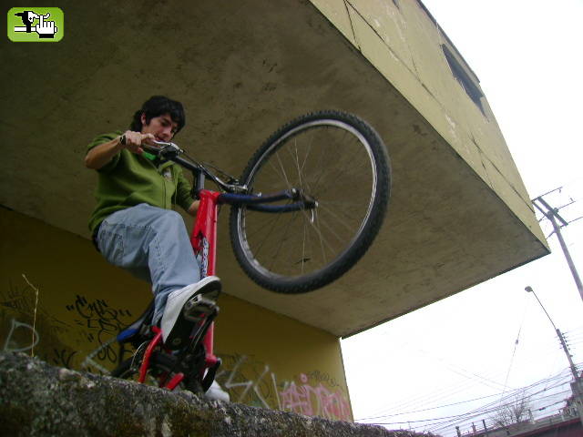tatan zg
