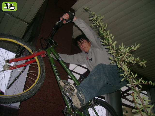xexin
