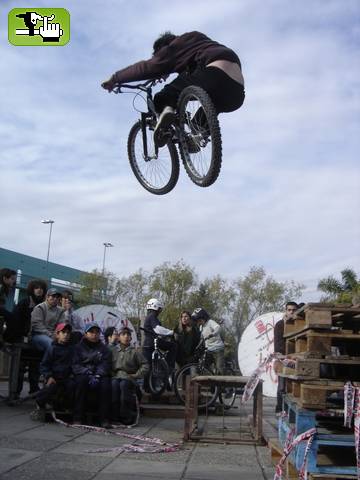 mauro no gravity !
