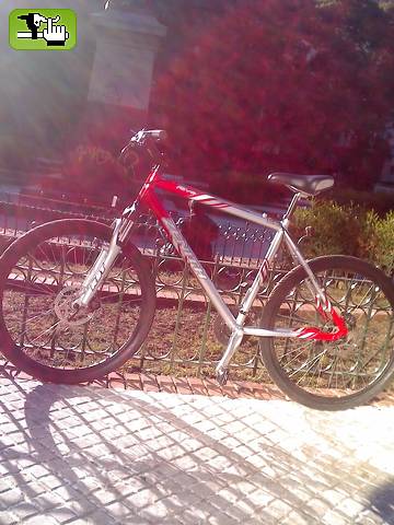 federico_mlv