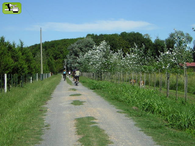 VUELTA DE PILAR