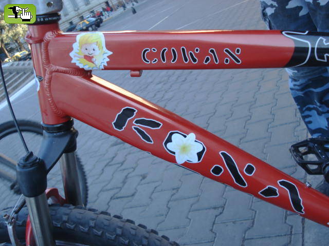 MARI KONA 2