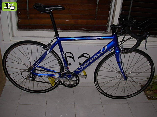 CUCAMAN1