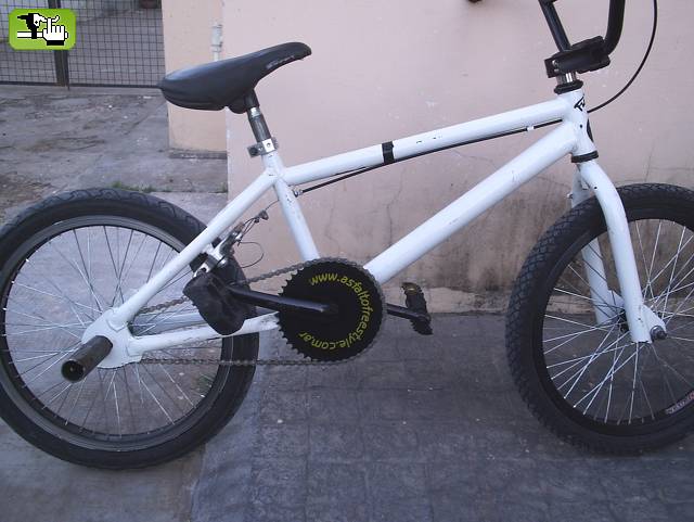 gonzat_31
