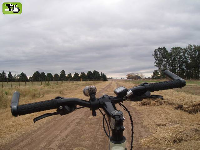 locos del pedal