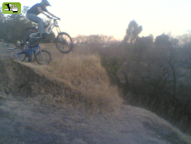 willi y su cortina