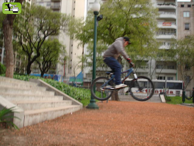 ESCALERA 