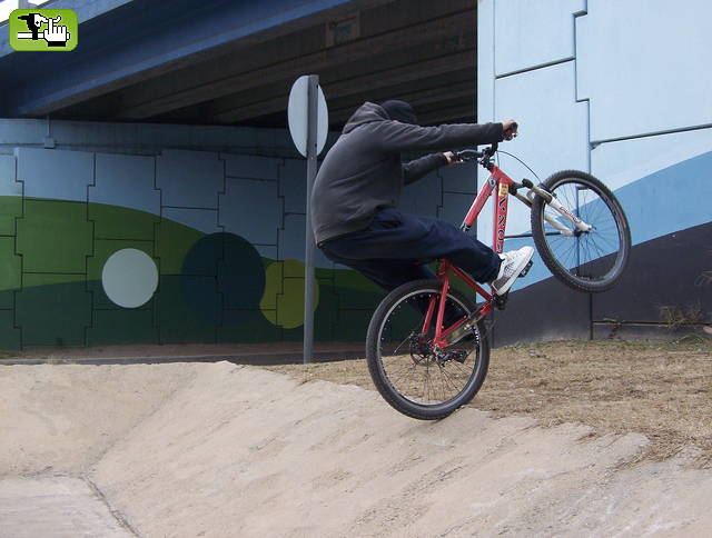 ariel en el bowl de vcp