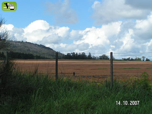 Balcarce