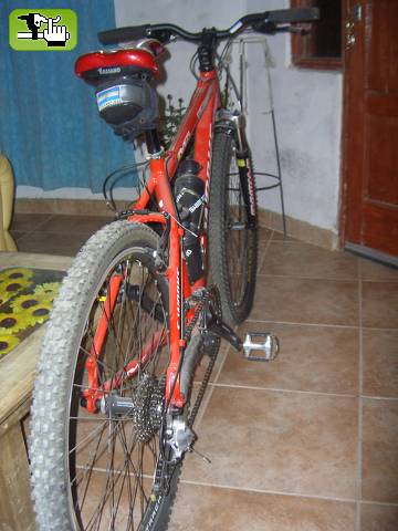 VIBRION13