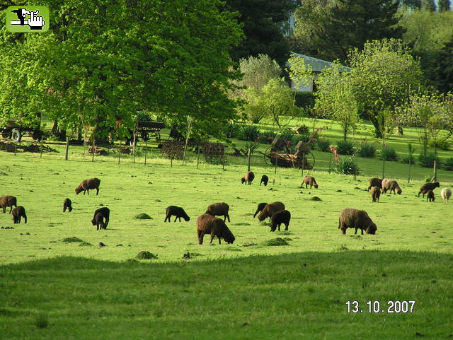 Al pie de la sierra La Barrosa