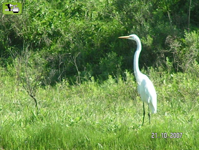 Junto a la represa