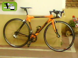 faulino