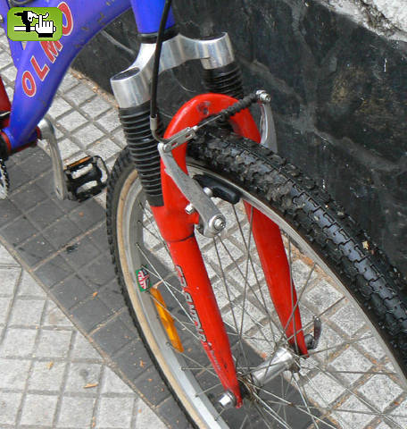 olmo