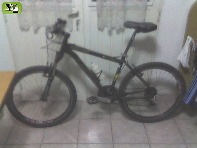 q les parece la morocha???