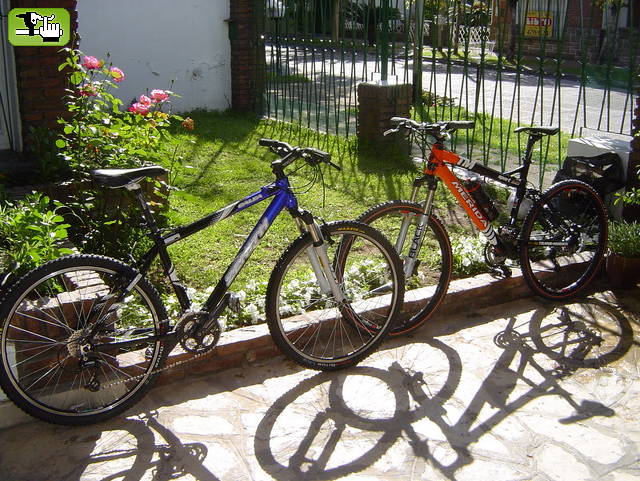 Mis 2 amores