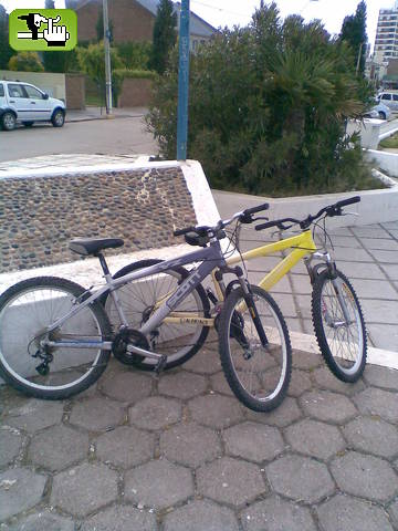 Se vende la amarillaaa 