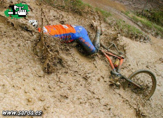 q golpecito no?