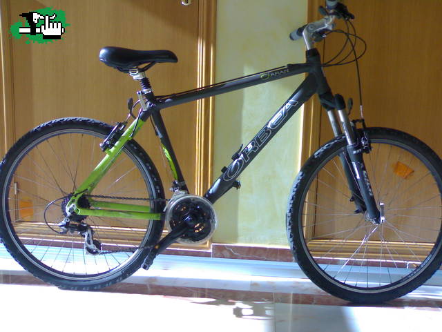 orbea aran