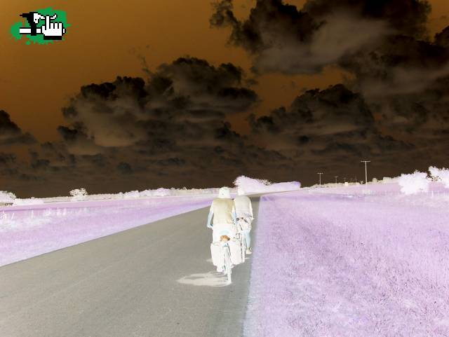 Saliendo de Lobos