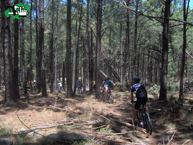 RIO DE LOS SAUCES, LAS LAGUNITAS 2007-2