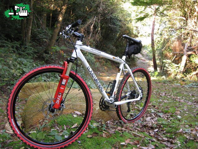 que tal le quedan las panaracer esas