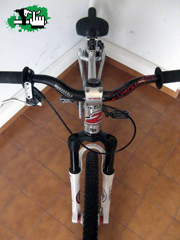 X 24"