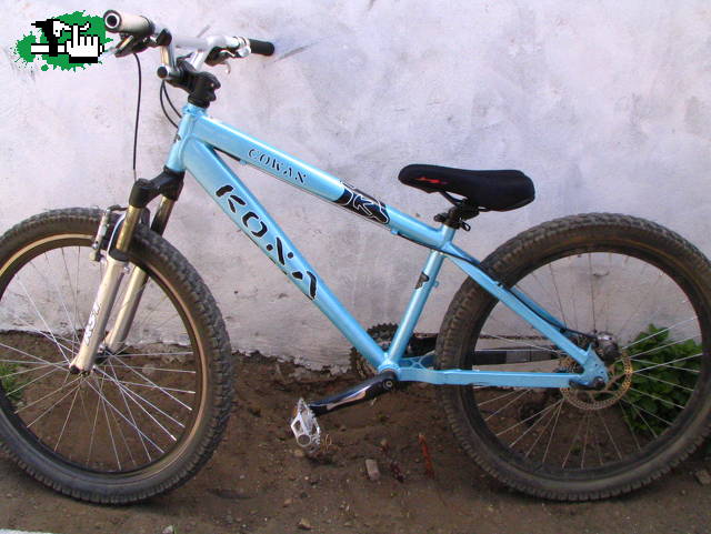 konita 