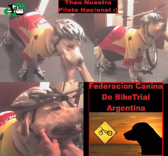 Se viene la generacion canina